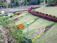 花フェスタ記念公園